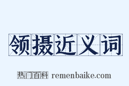 领摄近义词是什么意思的图片